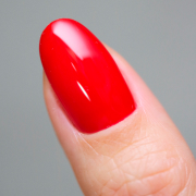 感動ワンカラーの画像